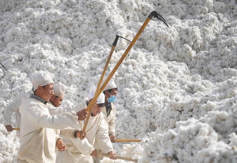 Xinjiang Cotton
